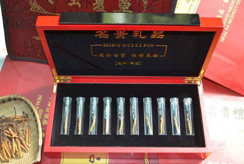 靓虫草高价回收(图1)